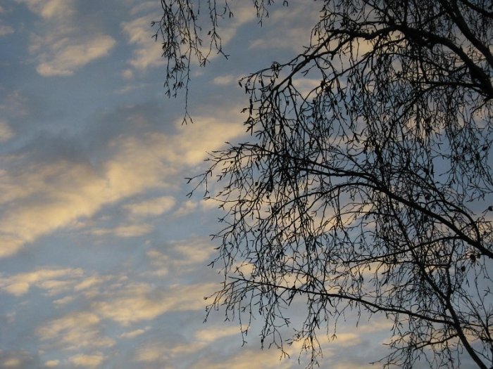 Вечерние облака